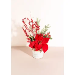 Die moderne Hausfrau Advents-Gesteck "Christstern"