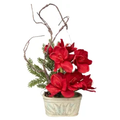 Die moderne Hausfrau Arrangement „Amaryllis“