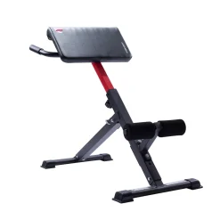 Die moderne Hausfrau Bauch- und Rückentrainer AB 1000