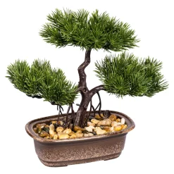 Die moderne Hausfrau Bonsai „Natur“