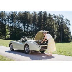 Die moderne Hausfrau Carbon Rollator inklusive Tasche, faltbar British Racing Green