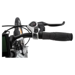 Die moderne Hausfrau City E-Bike 