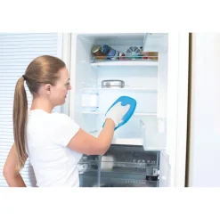 Die moderne Hausfrau Dampfreiniger 