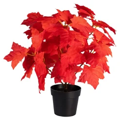 Die moderne Hausfrau Deko-Ahornbäumchen rot