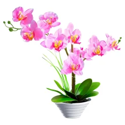 Die moderne Hausfrau Deko-Traum "Orchidee"