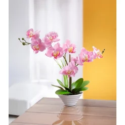 Die moderne Hausfrau Deko-Traum "Orchidee"