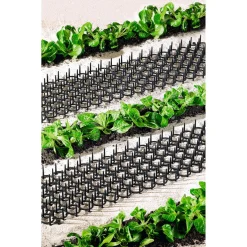 Die moderne Hausfrau Dornengitter, 2 Stück