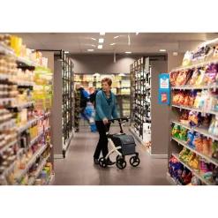 Die moderne Hausfrau Einkaufsrollator Rollz Flex mit Sitz und Tasche, faltbar Pebble White