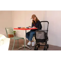 Die moderne Hausfrau Einkaufstrolley EASY GO Fresh grau-schwarz