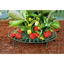 Die moderne Hausfrau Erdbeer-Reifer