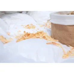 Die moderne Hausfrau Feder-Daunen Kopfkissen "Zirbe" 40x80 cm