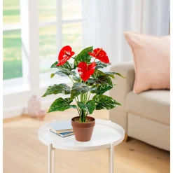 Die moderne Hausfrau Flamingoblume