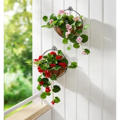 Die moderne Hausfrau Hängegeranie im Metallgestell rosa