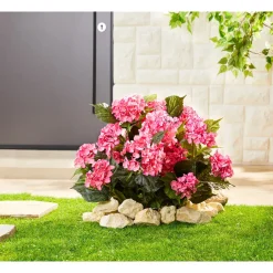 Die moderne Hausfrau Hortensienbusch 