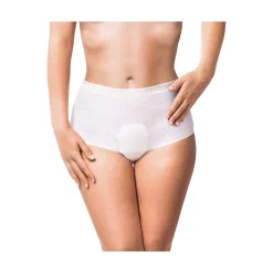 Die moderne Hausfrau Intime Damen 