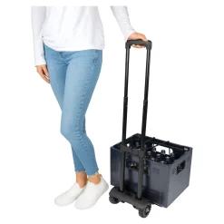 Die moderne Hausfrau Klapp-Trolley „Genial“