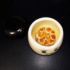 Die moderne Hausfrau Knoblauch-Röster und Aufbewahrungsbehälter 