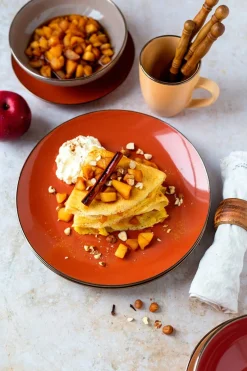 Die moderne Hausfrau Kombiservice, Steinzeug METALLIC RIM Rot, Braun, Orange, Beige