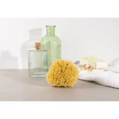 Die moderne Hausfrau Körperschwamm