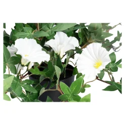 Die moderne Hausfrau Kunstblume "Winde" weiß