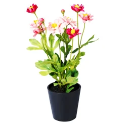 Die moderne Hausfrau Kunst-Chrysantheme rosa