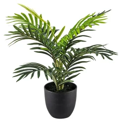 Die moderne Hausfrau Kunstpflanze „Goldfruchtpalme“