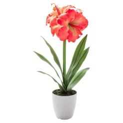 Die moderne Hausfrau Kunstpflanze "Klivie"