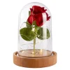 Die moderne Hausfrau LED-Glas "Ewige Rose" mit Musik