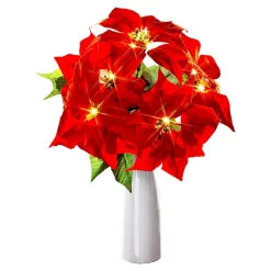 Die moderne Hausfrau LED-Weihnachtsstrauß + Gratis Vase