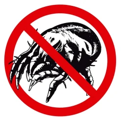 Die moderne Hausfrau Leichtsteppbett Trockenes Schlafklima 155x220 cm