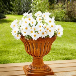 Die moderne Hausfrau Margeritenbusch weiß