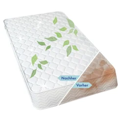 Die moderne Hausfrau Matratzen-Reiniger mit Alpenduft, 650ml