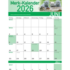 Die moderne Hausfrau Merkkalender 2026 „Katzenbabies“