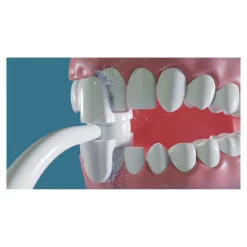 Die moderne Hausfrau Munddusche 