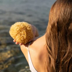 Die moderne Hausfrau Naturschwamm