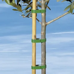 Die moderne Hausfrau Pflanzband "Klett", 3 m