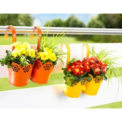 Die moderne Hausfrau Primel rot