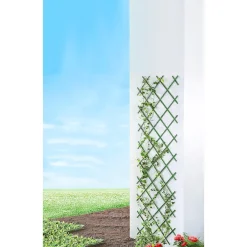 Die moderne Hausfrau Rank-Spalier "Variabel" grün