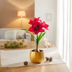 Die moderne Hausfrau Set aus Kunstblume „Amaryllis“ + Übertopf "Elegant"