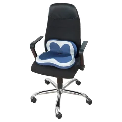 Die moderne Hausfrau Sitz- und Lendenkissen "2 in 1"