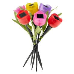 Die moderne Hausfrau Solar-Tulpen "Kunterbunt", 6 Stück
