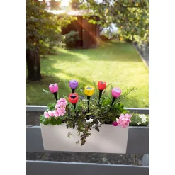 Die moderne Hausfrau Solar-Tulpen 