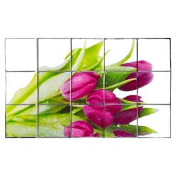 Die moderne Hausfrau Spritzschutz-Folie „Tulpen“