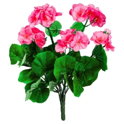 Die moderne Hausfrau Steck-Geranienbusch pink