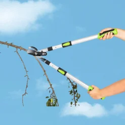 Die moderne Hausfrau Teleskop-Astschere