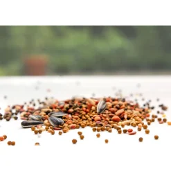 Die moderne Hausfrau Vogelfutter, 1 kg