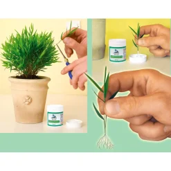 Die moderne Hausfrau Wurzeltreibfix, 30 g