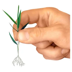 Die moderne Hausfrau Wurzeltreibfix, 30 g